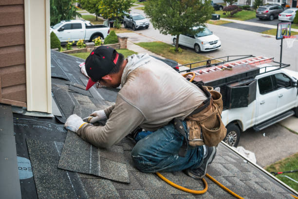 Professional Emergency Roof Repair technician working in Whitakers, NC
